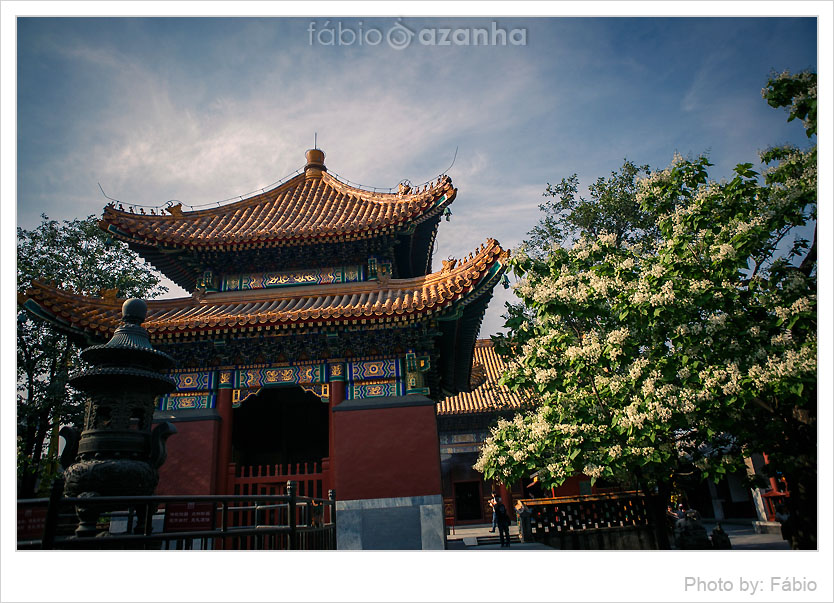 lama-temple-002