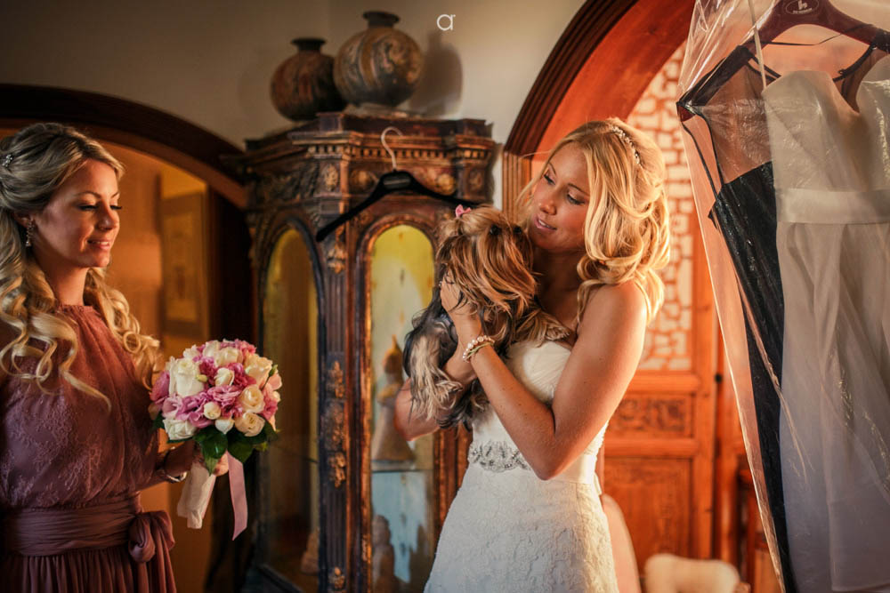 Bride with her pet dog
